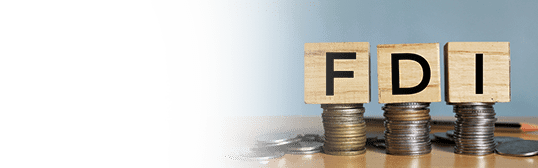 What is Foreign Direct Investment What is Foreign Direct Investment